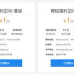 1g美国虚拟主机,高效、稳定、性价比高的网站托管解决方案