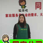 同安家政,企业名录与发展趋势分析”